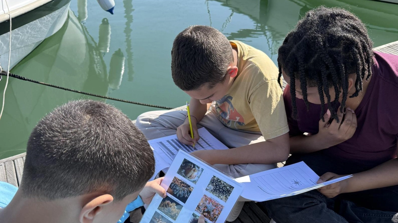 Installazioni sperimentali. Baby architetti del mare studiano le specie aliene