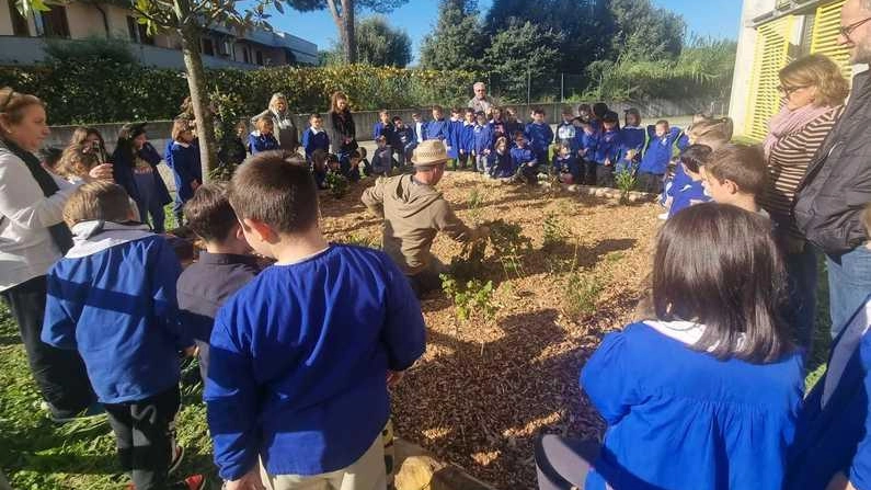 Laboratorio di biodiversità per i bambini: è il progetto di Unicoop Firenze a Casalguidi . Tommaso Perulli: "Qui mette radici una nuova comunità di alberi, e quindi di persone". Laboratorio di biodiversità per i bambini: è il progetto di Unicoop Firenze a Casalguidi . Tommaso Perulli: "Qui mette radici una nuova comunità di alberi, e quindi di persone".