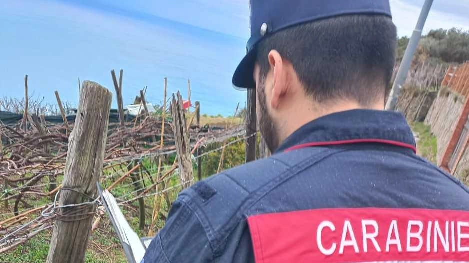 Nelle 22 aziende del territorio soltanto irregolarità formali. Nessuna frode in commercio. Nelle 22 aziende del territorio soltanto irregolarità formali. Nessuna frode in commercio.