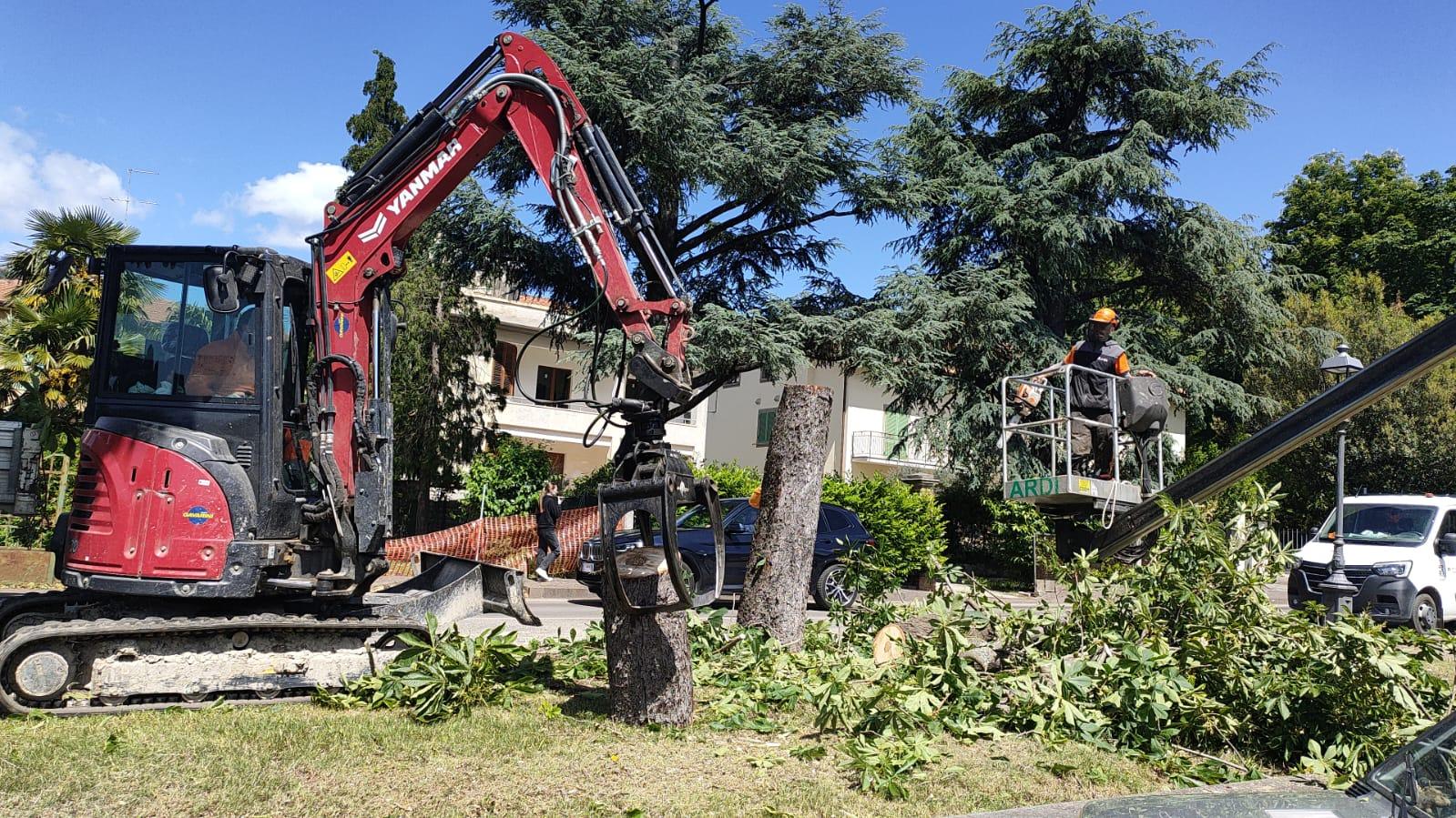 maltempo danni a sansepolcro per il forte vento da Lanazione.it maltempo danni a sansepolcro per il forte vento