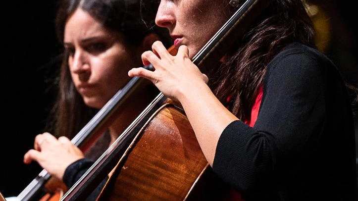 Il 7 settembre al Politeama la Camerata:. la tradizione è salva Foto Biagini Il 7 settembre al Politeama la Camerata:. la tradizione è salva Foto Biagini