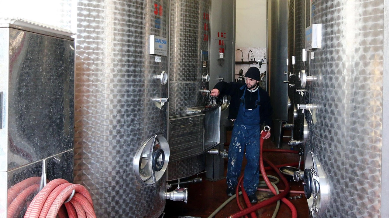 La coop Montalbano Olio & Vino ha affittato. alle coop Terre dell’Etruria e Cantine Vivito i rami d’azienda dell’olio e del vino e li cederà entro la fine del prossimo anno. L’operazione è stata condotta sotto la regia della Lega Coop Toscana La coop Montalbano Olio & Vino ha affittato. alle coop Terre dell’Etruria e Cantine Vivito i rami d’azienda dell’olio e del vino e li cederà entro la fine del prossimo anno. L’operazione è stata condotta sotto la regia della Lega Coop Toscana