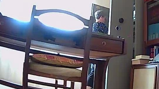L’immagine della telecamera interna all’abitazione che riprende la donna mentre apre la cassaforte appropriandosi dei gioielli L’immagine della telecamera interna all’abitazione che riprende la donna mentre apre la cassaforte appropriandosi dei gioielli