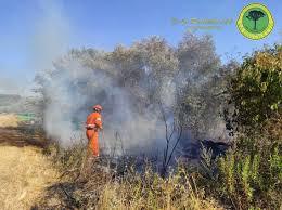 Istituito il periodo a rischio incendi boschivi dal 21 giugno Istituito il periodo a rischio incendi boschivi dal 21 giugno