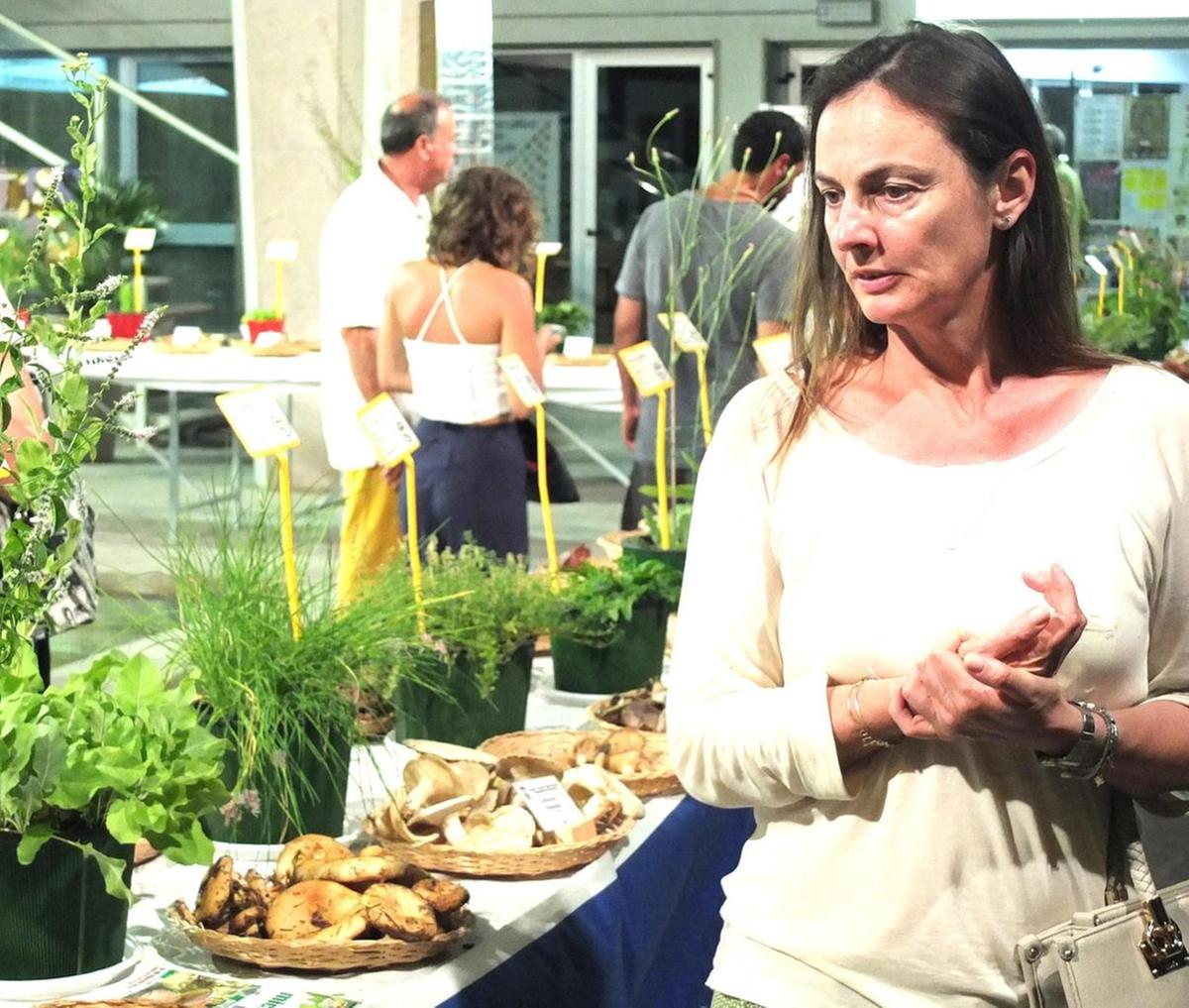 Funghi, l’indotto con gli agriturismi. Riflettori su etichette e provenienza Funghi, l’indotto con gli agriturismi. Riflettori su etichette e provenienza