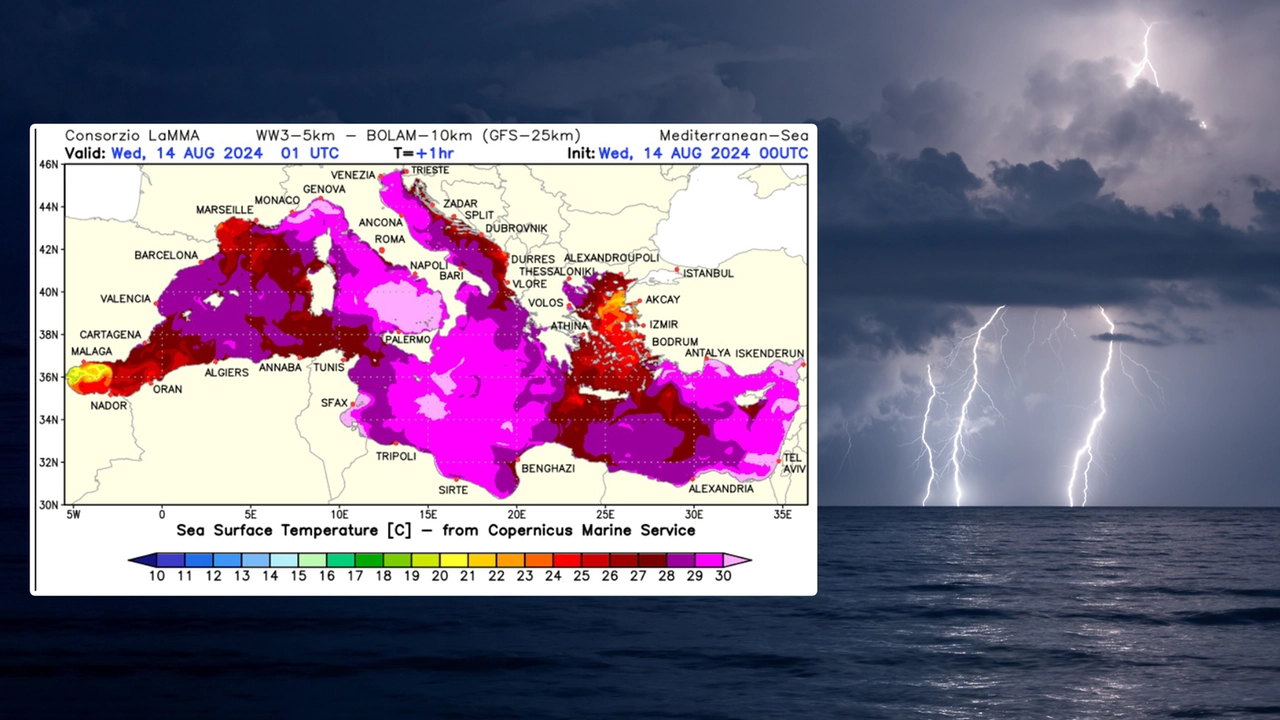 Il grafico del Lamma che mostra le temperature del mare Il grafico del Lamma che mostra le temperature del mare
