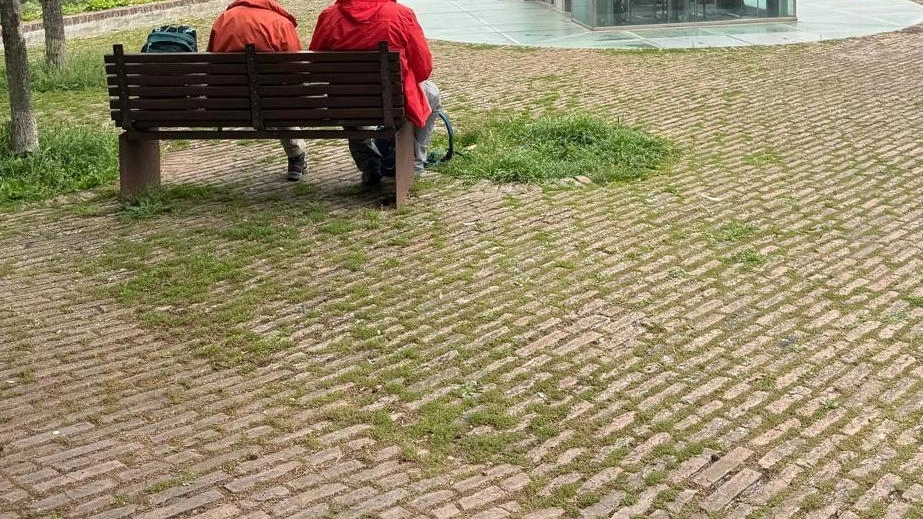 Il sindaco Piero Pii ha spiegato che, al momento, non è stato ancora conferito alcun incarico al gruppo di professionisti che dovrebbe affrontare la questione .