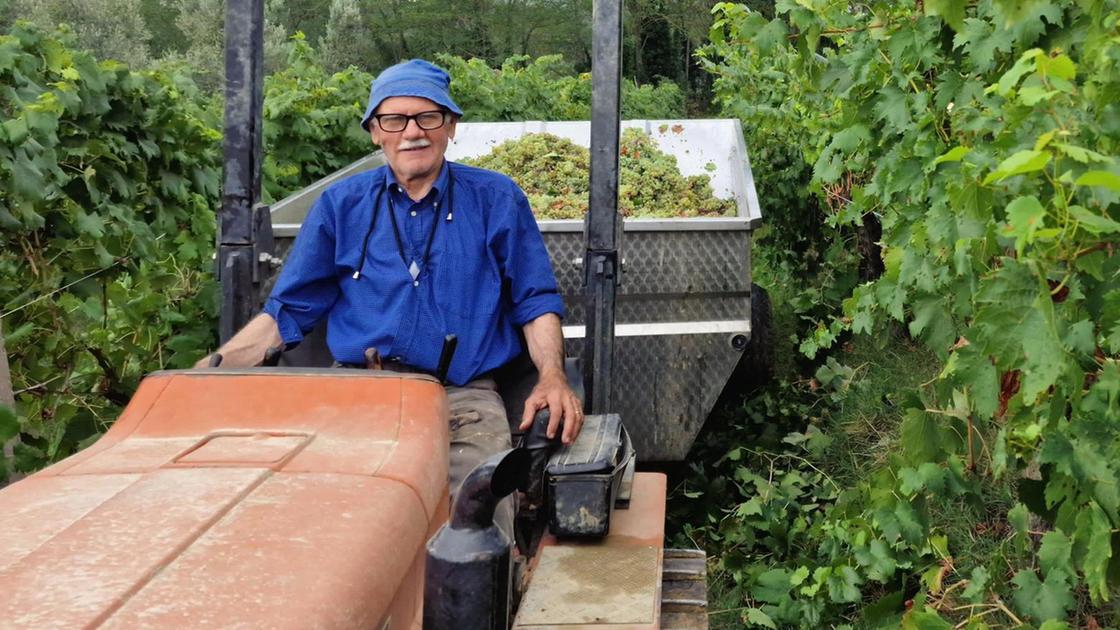 Sos viticoltura: "Primi riflessi sugli ordinativi"