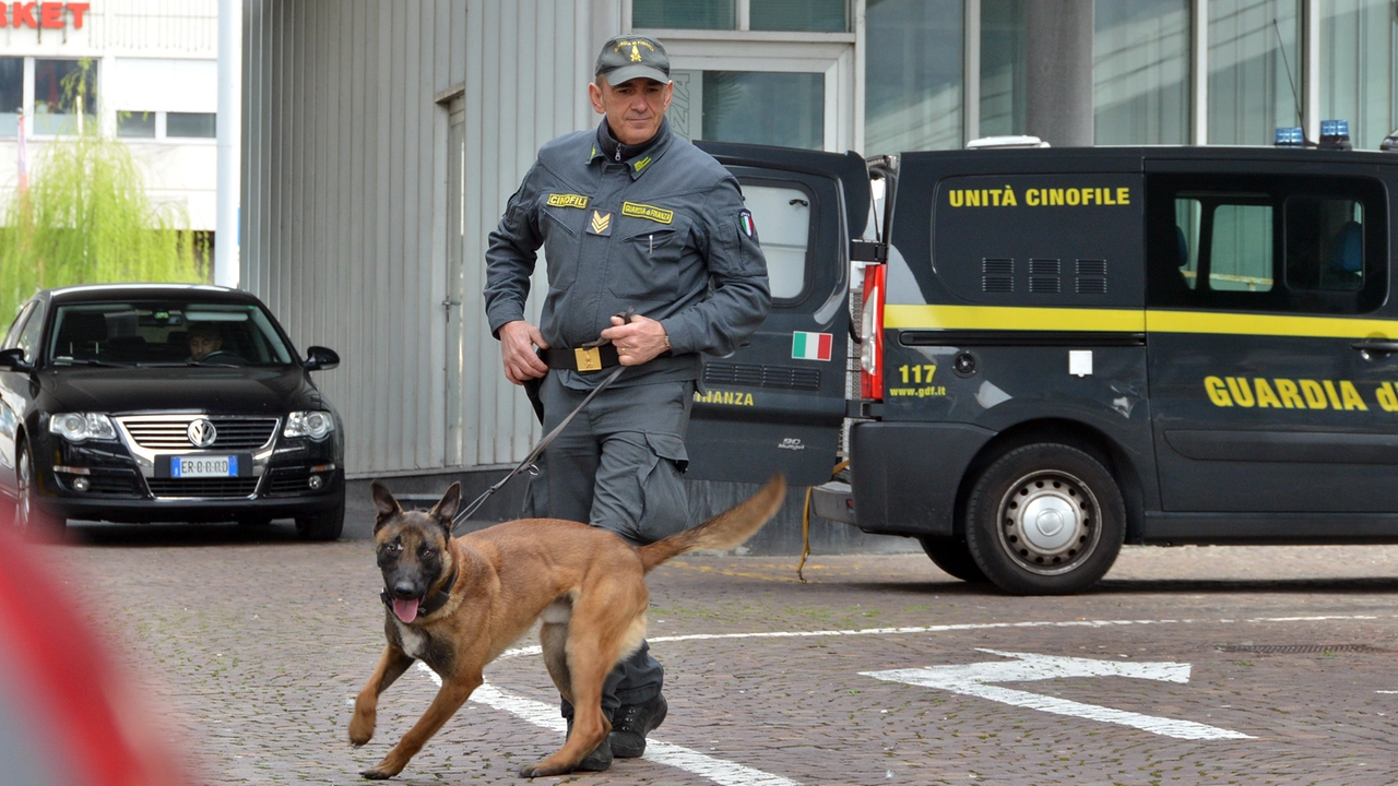 In azione anche le unità cinofile della Guardia di Finanza arrivate da Massa Carrara per la maxi operazione che ha interessato il centro In azione anche le unità cinofile della Guardia di Finanza arrivate da Massa Carrara per la maxi operazione che ha interessato il centro
