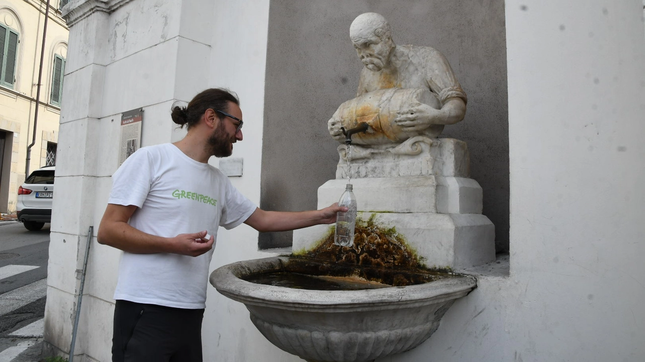 I controlli di Greenpeace I controlli di Greenpeace