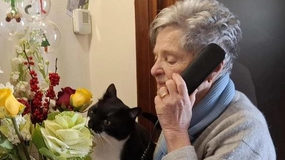 La vittima è un’anziana residente in un borgo di Seravezza: i parenti hanno sporto denuncia e le telecamere avrebbero ripreso la giovane che si è presentata a casa
