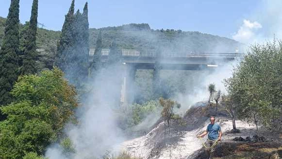 Le piante incenerite dalle fiamme proprio a ridosso dell’autostrada che è stata chiusa per qualche ora Le piante incenerite dalle fiamme proprio a ridosso dell’autostrada che è stata chiusa per qualche ora