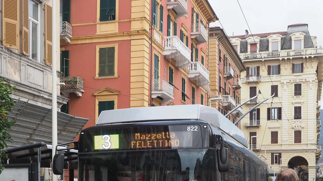 L’attesa vana alla fermata dell’autobus. In alcune frazioni spezzine e della Val di Magra gli utenti sono rimasti a piedi (foto d’archivio) L’attesa vana alla fermata dell’autobus. In alcune frazioni spezzine e della Val di Magra gli utenti sono rimasti a piedi (foto d’archivio)