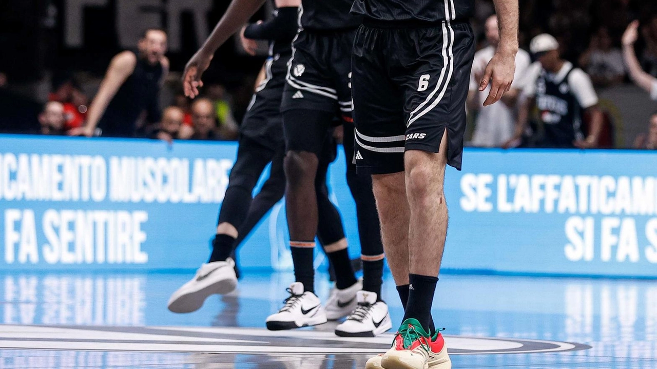 Virtus Bologna supera Brescia 75-65: Shengelia e Taylor protagonisti