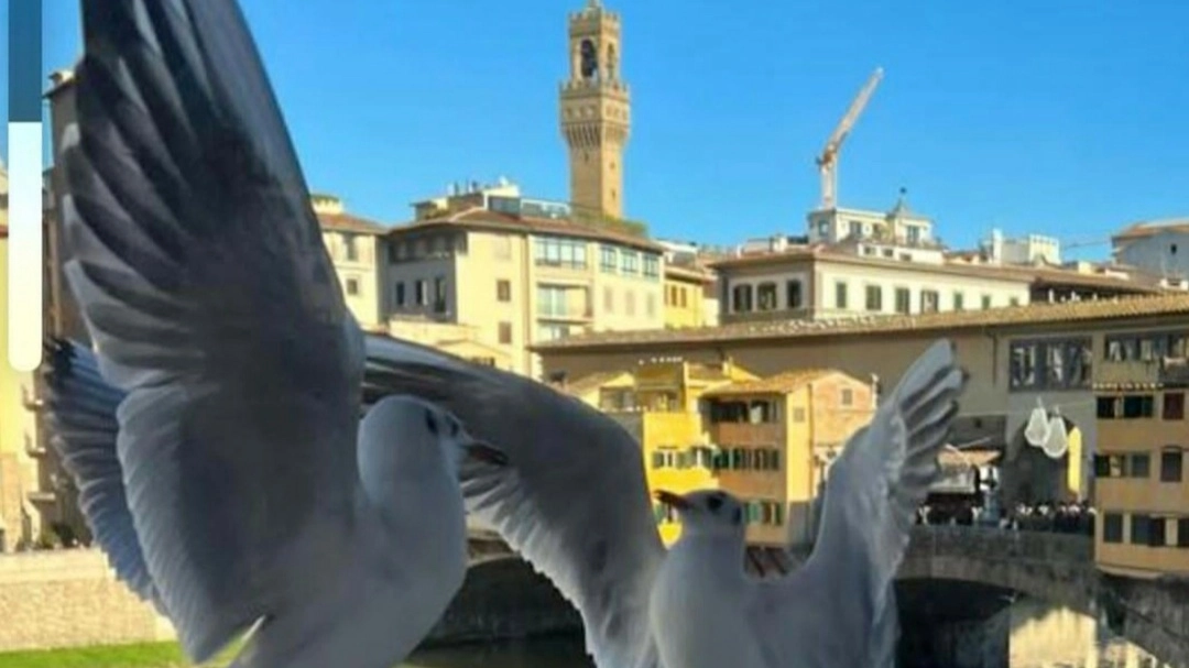 Il calendario Il calendario