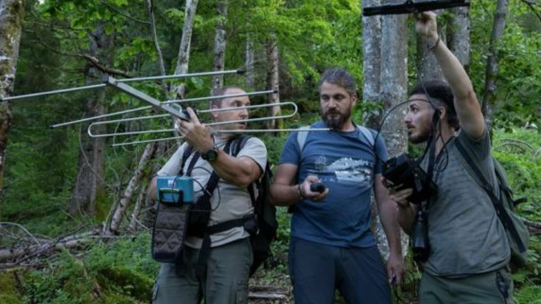 Alla Manifattura Tabacchi il film “Lupo uno” di Ivan di Mazzon e Bruno Boz Alla Manifattura Tabacchi il film “Lupo uno” di Ivan di Mazzon e Bruno Boz