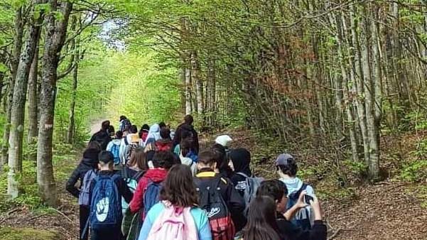 Campi estivi, tariffe più costose. Bucci: "È una scelta sbagliata. Penalizza bambini e famiglie" Campi estivi, tariffe più costose. Bucci: "È una scelta sbagliata. Penalizza bambini e famiglie"