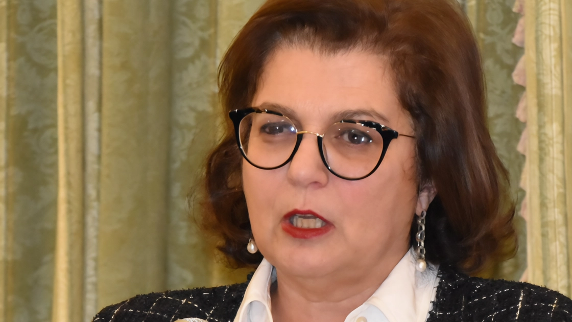 Il prefetto Paola Berardino rivolge un pensiero ai giovani. "Costruiamo una società più equa e giusta" Il prefetto Paola Berardino rivolge un pensiero ai giovani. "Costruiamo una società più equa e giusta"