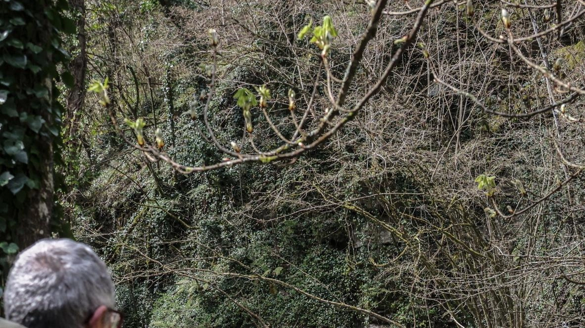 Convegni per parlare dei temi di bonifica e irrigazione Convegni per parlare dei temi di bonifica e irrigazione