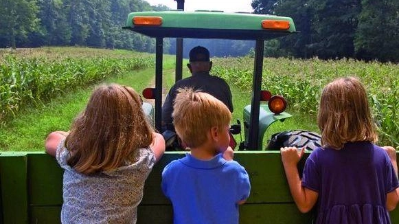 Uno studio di Coldiretti Toscana mostra la crescita delle esperienze di inclusione nelle campagne toscane a favore dei soggetti con disabilità mentale