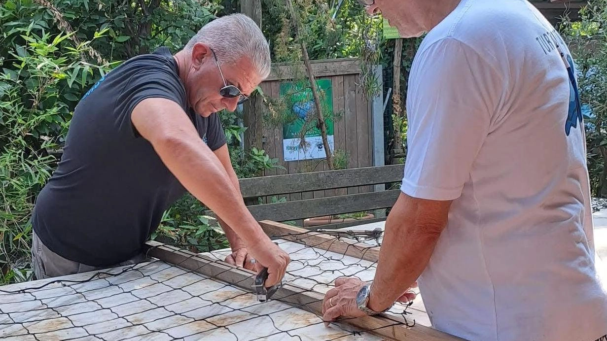 Volontari in cattedra: "Servono nuovi occhi per scovare le Caretta". Lezioni con gli esperti