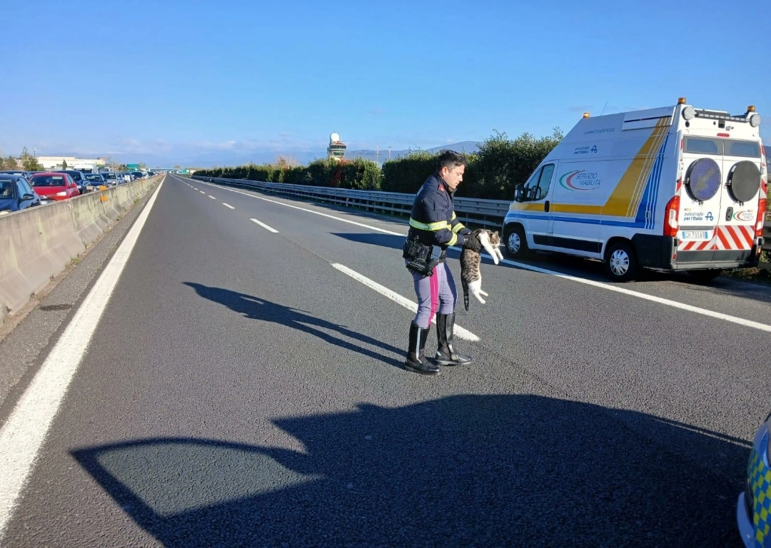 immagine di sfondo 5
