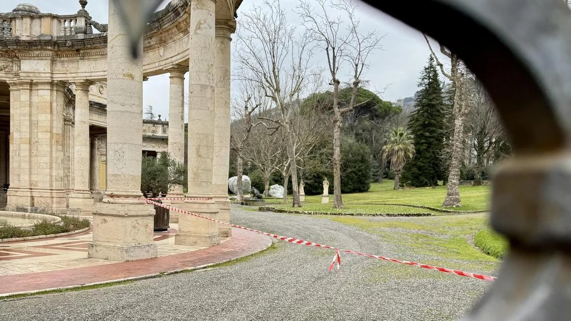 La zona del parco del Tettuccio dove è crollato il platano (Goiorani) La zona del parco del Tettuccio dove è crollato il platano (Goiorani)