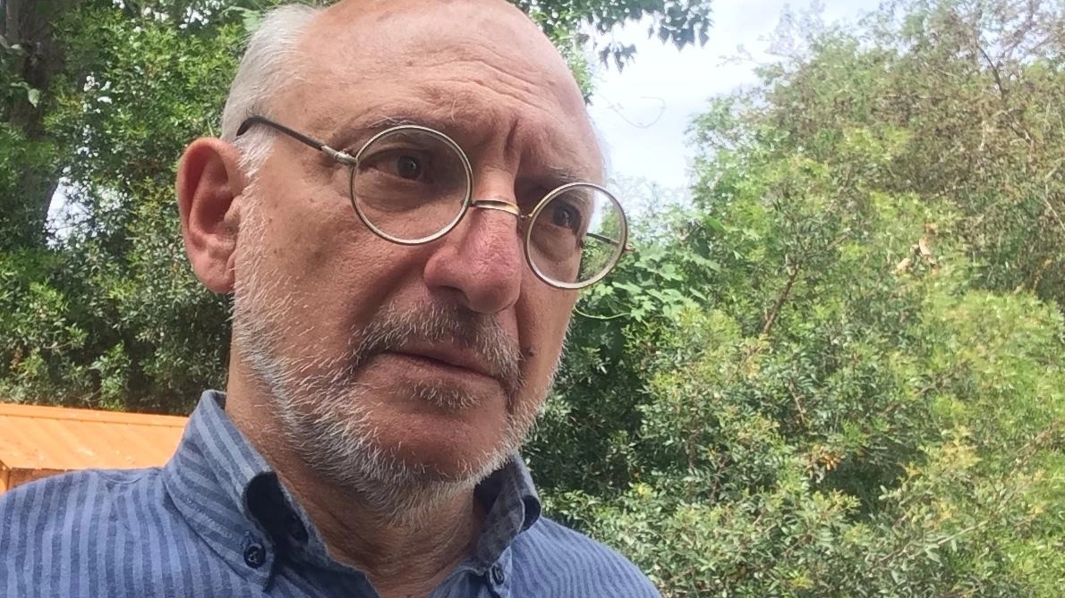 Gli esperti avvertono: il decadimento delle macroalghe in laguna potrebbe causare anossia e nuovi processi distrofici. Gli esperti avvertono: il decadimento delle macroalghe in laguna potrebbe causare anossia e nuovi processi distrofici.
