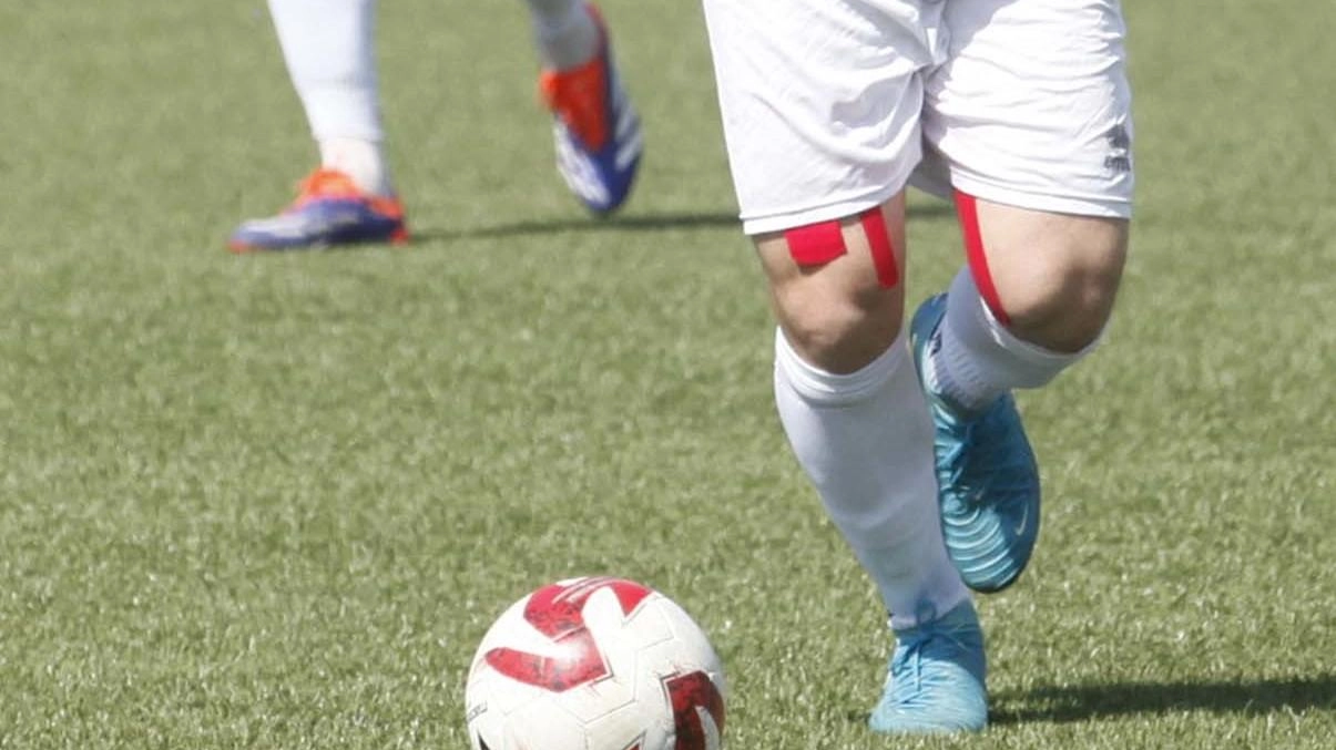 Serie D 2025/2026: Sestese chiede ripetizione gara per errore tecnico