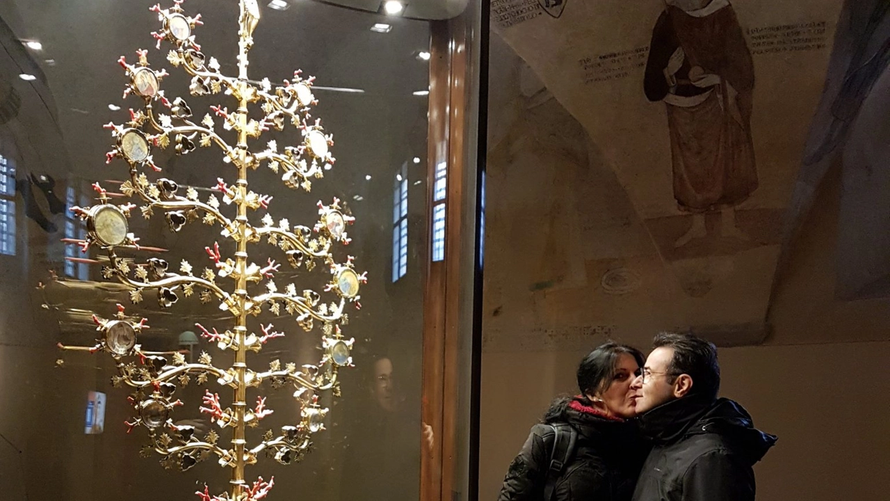 albero d'oro albero d'oro