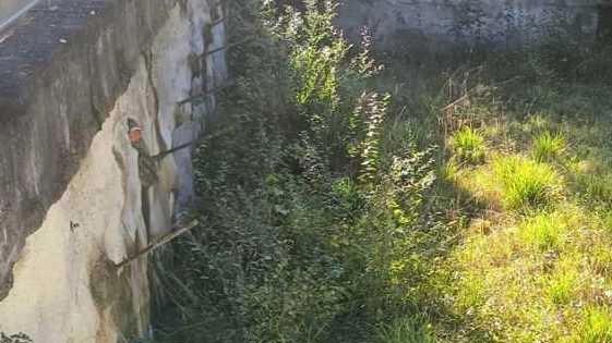La buca ricoperta dalla vegetazione lasciata dai lavori di ampliamento del cimitero di Forno mai completati La buca ricoperta dalla vegetazione lasciata dai lavori di ampliamento del cimitero di Forno mai completati