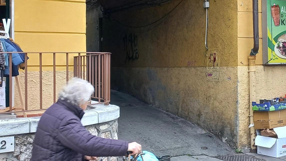 Gruppi di giovani si ritrovano nella corte privata a ridosso di piazza Matteotti. Brutti giri fino a notte fonda. Raccolte decine di firme e chiesti più controlli. Gruppi di giovani si ritrovano nella corte privata a ridosso di piazza Matteotti. Brutti giri fino a notte fonda. Raccolte decine di firme e chiesti più controlli.