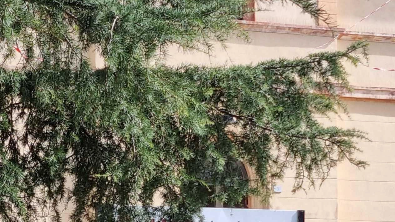 Durante i lavori, accesso al Pronto soccorso temporaneamente modificato per consentire la continuità delle attività sanitarie e garantire la massima sicurezza Durante i lavori, accesso al Pronto soccorso temporaneamente modificato per consentire la continuità delle attività sanitarie e garantire la massima sicurezza