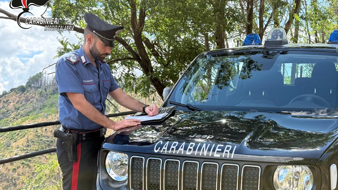 Sul posto sono arrivati i carabinieri di Villafranca, poi la donna si è recata a sporgere denuncia Sul posto sono arrivati i carabinieri di Villafranca, poi la donna si è recata a sporgere denuncia