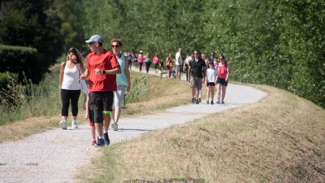 Appuntamento domani con la terza edizione della “Camminata del sorriso”, con partenza dal centro sportivo Bellaria dalle ore 15 Appuntamento domani con la terza edizione della “Camminata del sorriso”, con partenza dal centro sportivo Bellaria dalle ore 15