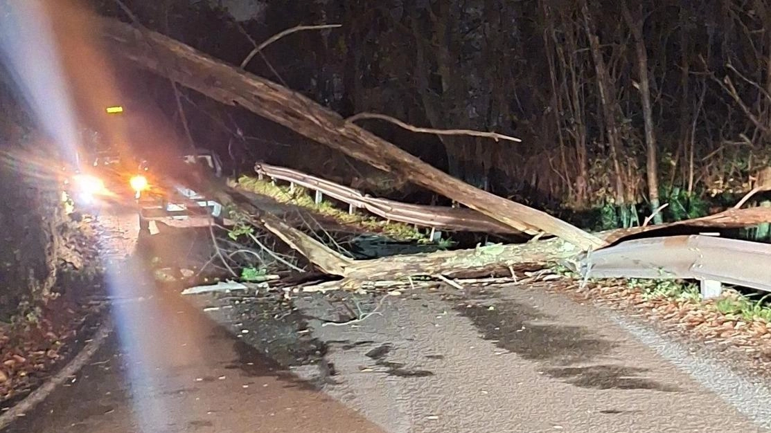 La violenta perturbazione lascia molti disagi. Stop lungo la via per Antona La violenta perturbazione lascia molti disagi. Stop lungo la via per Antona