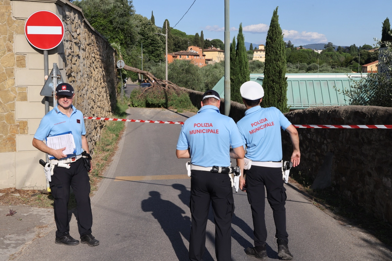 immagine di sfondo 3