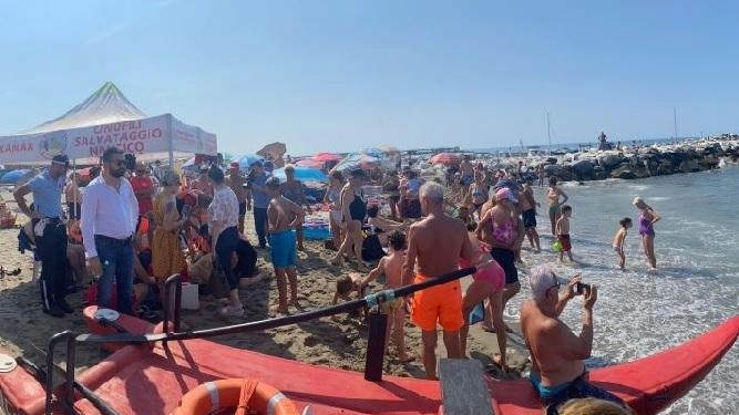 Iniziative di sensibilizzazione con esercitazioni ieri mattina al Buena Vida. Focus su strumenti di soccorso, massaggi cardiaci. Presenti i cani bagnino. Iniziative di sensibilizzazione con esercitazioni ieri mattina al Buena Vida. Focus su strumenti di soccorso, massaggi cardiaci. Presenti i cani bagnino.