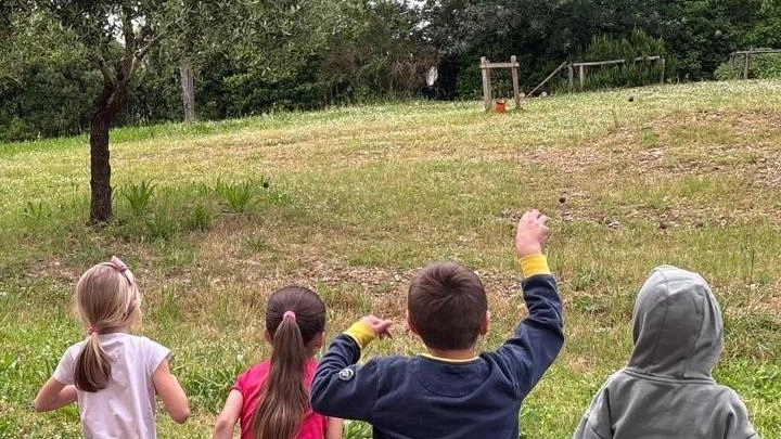L’attività che ha coinvolto gli studenti L’attività che ha coinvolto gli studenti