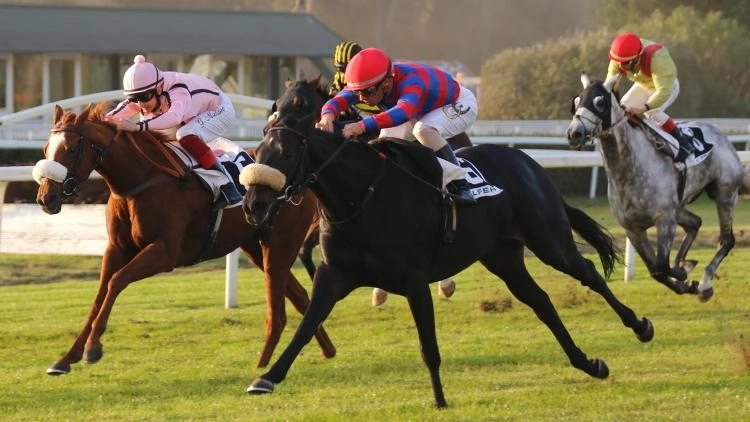 Si torna a correre oggi all’ippodromo di San Rossore