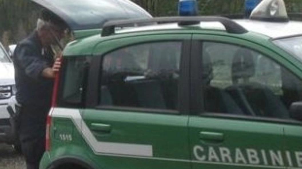 Carabinieri forestali (immagine di repertorio) Carabinieri forestali (immagine di repertorio)