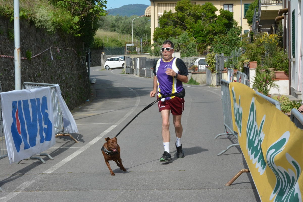 immagine di sfondo 25