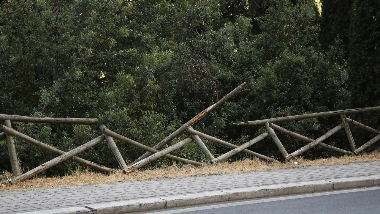 La staccionata è divelta. Non c’è più protezione. Pali appuntiti come armi . La staccionata è divelta. Non c’è più protezione. Pali appuntiti come armi .