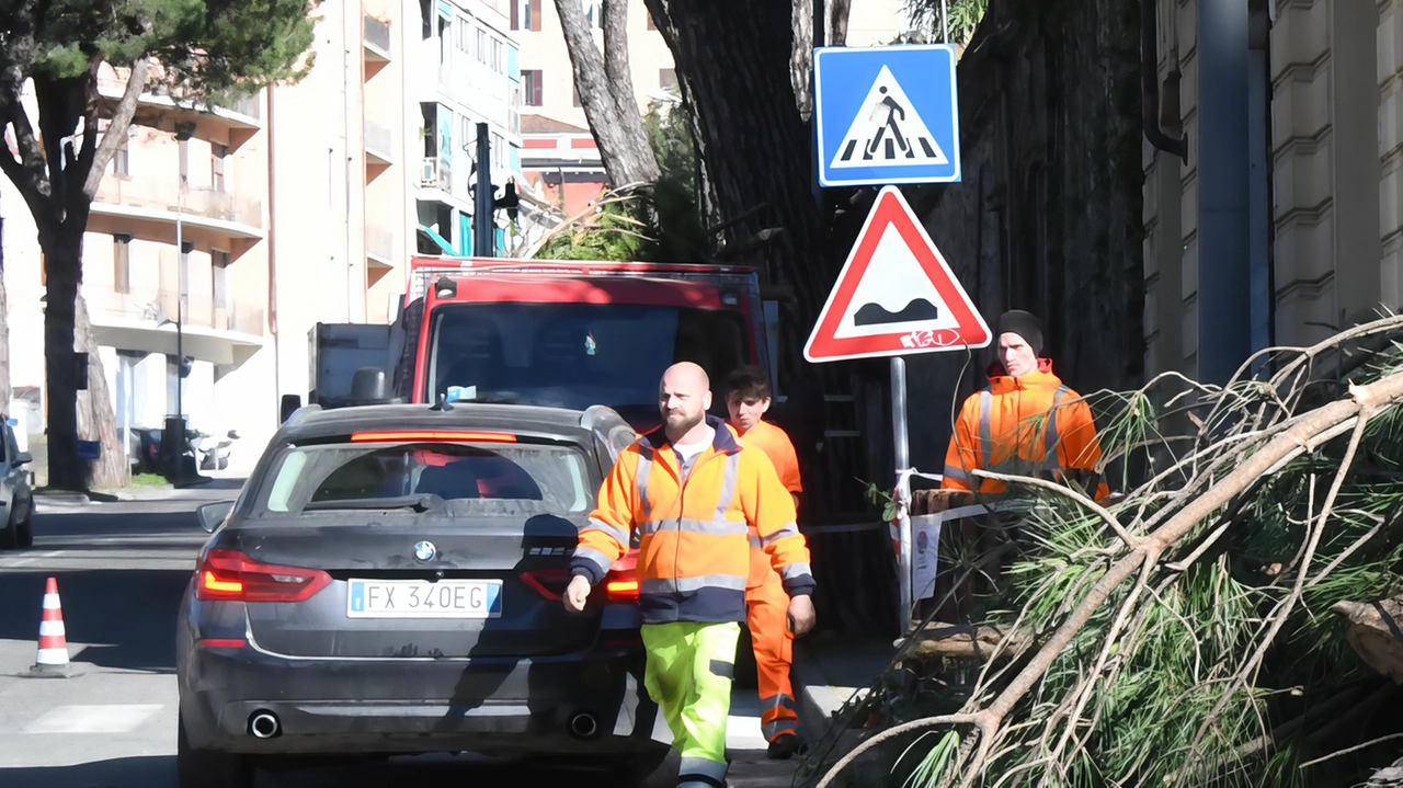 Sul prossimo taglio dei pini a Marina interviene Marco Dinetti, il responsabile ecologia urbana della Lipu. In particolare Dinetti fa... Sul prossimo taglio dei pini a Marina interviene Marco Dinetti, il responsabile ecologia urbana della Lipu. In particolare Dinetti fa...