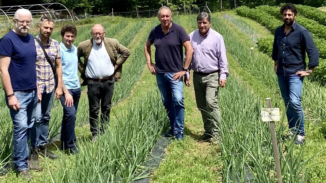 Alcuni promotori del progetto Macocipat («Metodi di Agro Caratterizzazione Organolettica della Cipolla della Selva e della Patata delle Macchie») Alcuni promotori del progetto Macocipat («Metodi di Agro Caratterizzazione Organolettica della Cipolla della Selva e della Patata delle Macchie»)