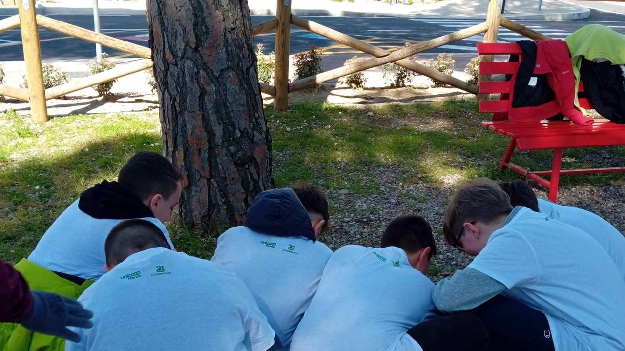 «Liberi dai rifiuti», l’appuntamento ieri mattina a Castiglion Fiorentino, al Parco Presentini, con. 110 alunni della scuola secondaria di primo grado Alighieri
