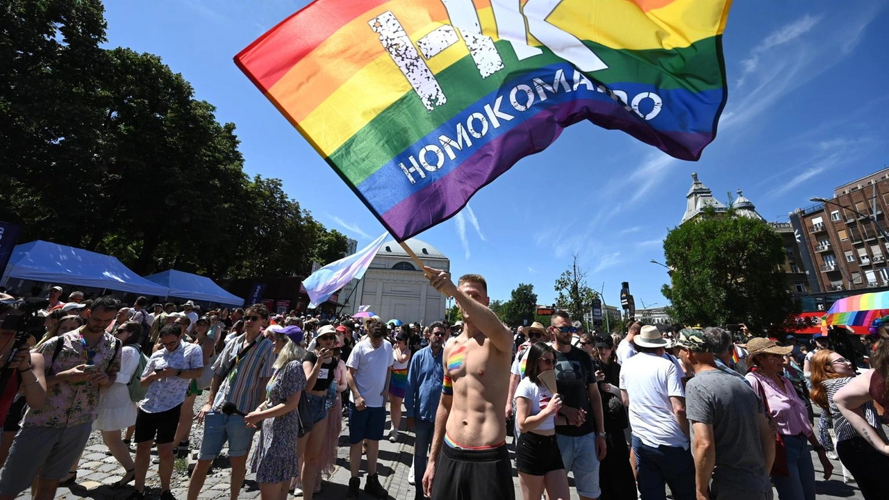 'Hanno incaricato politici dell'opposizione nell'organizzazione' 'Hanno incaricato politici dell'opposizione nell'organizzazione'