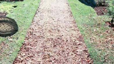 Il Giungla Festival a Lucca affronta la minaccia di sradicamento delle radici culturali e storiche, con focus su sentieri antichi, biblioteche e tradizioni botaniche. Eventi in programma fino al 17 novembre. Il Giungla Festival a Lucca affronta la minaccia di sradicamento delle radici culturali e storiche, con focus su sentieri antichi, biblioteche e tradizioni botaniche. Eventi in programma fino al 17 novembre.