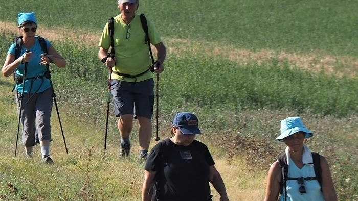 Unisciti a Massimo Luciani per una passeggiata etnobotanica ad Aulla, esplorando la flora locale e la Fortezza della Brunella.