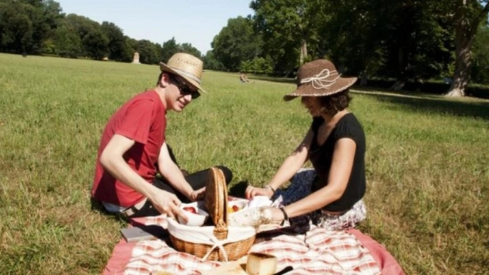 Picnic (foto Ansa) Picnic (foto Ansa)